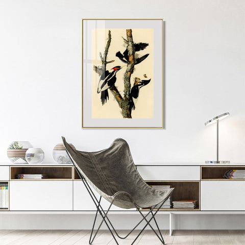 INVIN ART Metal Framed Canvas Giclee Print Ivory billed Woodpecker by John James Audubon Wall Art Living Room Home Office Decorations