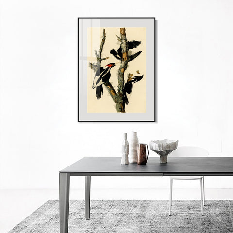 INVIN ART Metal Framed Canvas Giclee Print Ivory billed Woodpecker by John James Audubon Wall Art Living Room Home Office Decorations