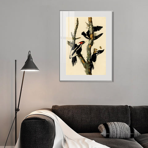 INVIN ART Metal Framed Canvas Giclee Print Ivory billed Woodpecker by John James Audubon Wall Art Living Room Home Office Decorations