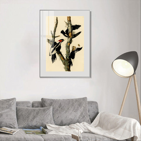 INVIN ART Metal Framed Canvas Giclee Print Ivory billed Woodpecker by John James Audubon Wall Art Living Room Home Office Decorations