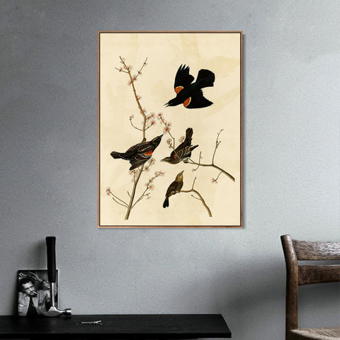 INVIN ART Framed Canvas Giclee Print Red winged Starling or Marsh Blackbird by John James Audubon Wall Art Living Room Home Office Decorations