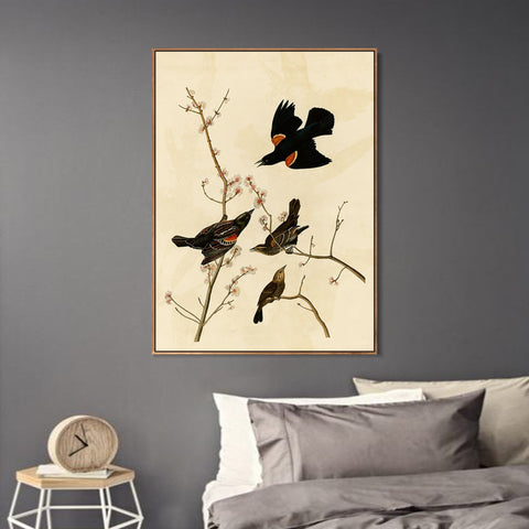 INVIN ART Framed Canvas Giclee Print Red winged Starling or Marsh Blackbird by John James Audubon Wall Art Living Room Home Office Decorations