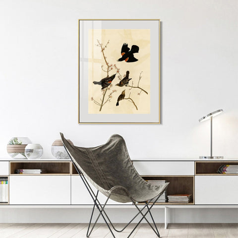 INVIN ART Metal Framed Canvas Giclee Print Red winged Starling or Marsh Blackbird by John James Audubon Wall Art Living Room Home Office Decorations