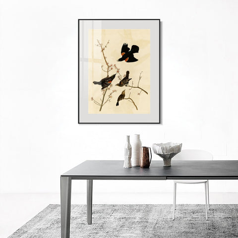 INVIN ART Metal Framed Canvas Giclee Print Red winged Starling or Marsh Blackbird by John James Audubon Wall Art Living Room Home Office Decorations