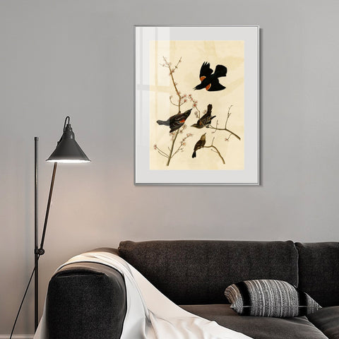 INVIN ART Metal Framed Canvas Giclee Print Red winged Starling or Marsh Blackbird by John James Audubon Wall Art Living Room Home Office Decorations
