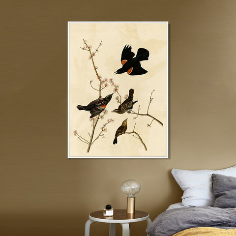INVIN ART Framed Canvas Giclee Print Red winged Starling or Marsh Blackbird by John James Audubon Wall Art Living Room Home Office Decorations