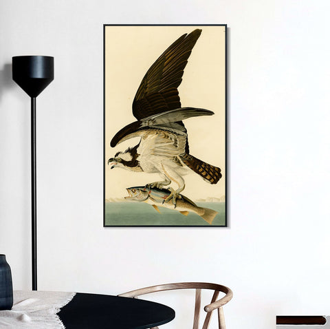 INVIN ART Framed Canvas Giclee Print Fish Hawk or Osprey by John James Audubon Wall Art Living Room Home Office Decorations