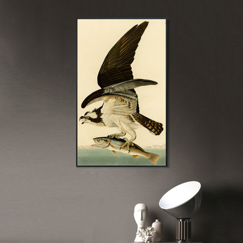 INVIN ART Framed Canvas Giclee Print Fish Hawk or Osprey by John James Audubon Wall Art Living Room Home Office Decorations