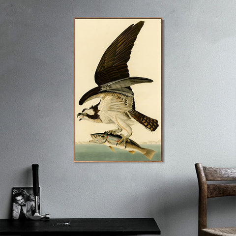 INVIN ART Framed Canvas Giclee Print Fish Hawk or Osprey by John James Audubon Wall Art Living Room Home Office Decorations