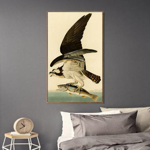 INVIN ART Framed Canvas Giclee Print Fish Hawk or Osprey by John James Audubon Wall Art Living Room Home Office Decorations