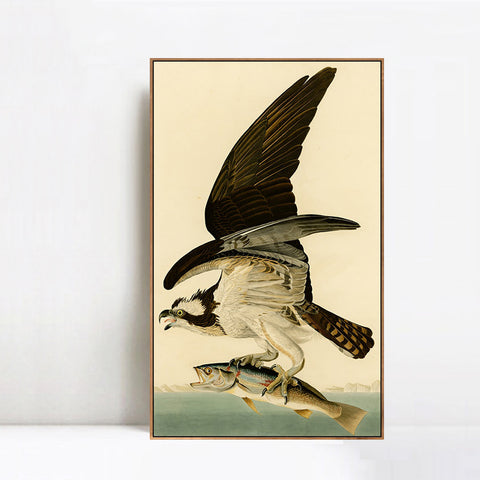 INVIN ART Framed Canvas Giclee Print Fish Hawk or Osprey by John James Audubon Wall Art Living Room Home Office Decorations