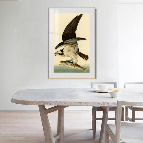 INVIN ART Metal Framed Canvas Giclee Print Fish Hawk or Osprey by John James Audubon Wall Art Living Room Home Office Decorations