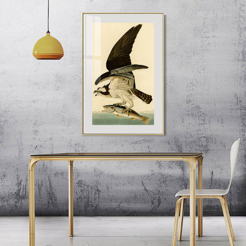 INVIN ART Metal Framed Canvas Giclee Print Fish Hawk or Osprey by John James Audubon Wall Art Living Room Home Office Decorations