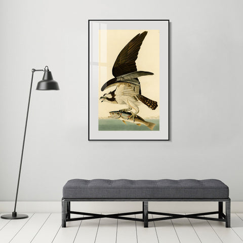 INVIN ART Metal Framed Canvas Giclee Print Fish Hawk or Osprey by John James Audubon Wall Art Living Room Home Office Decorations
