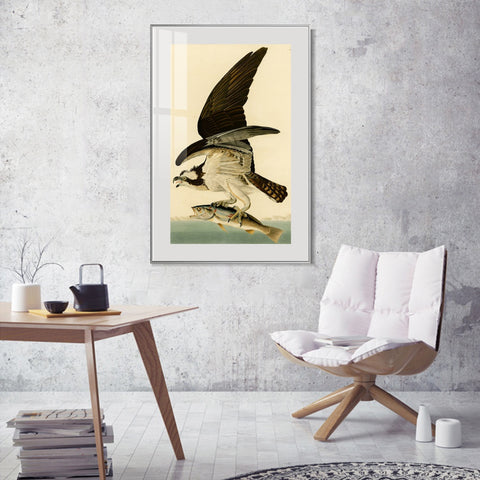 INVIN ART Metal Framed Canvas Giclee Print Fish Hawk or Osprey by John James Audubon Wall Art Living Room Home Office Decorations