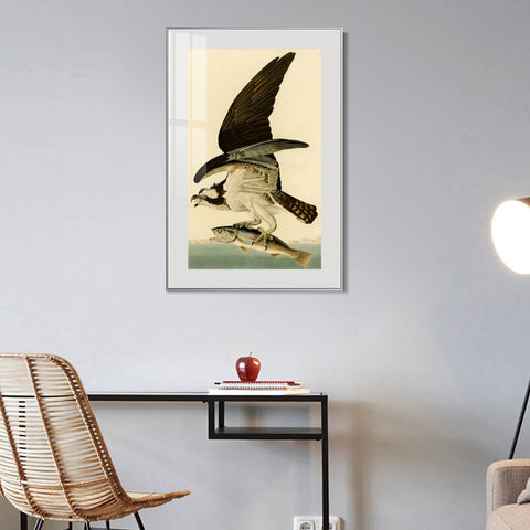 INVIN ART Metal Framed Canvas Giclee Print Fish Hawk or Osprey by John James Audubon Wall Art Living Room Home Office Decorations