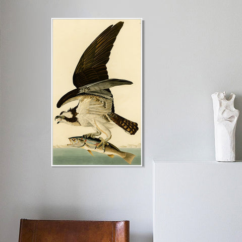 INVIN ART Framed Canvas Giclee Print Fish Hawk or Osprey by John James Audubon Wall Art Living Room Home Office Decorations
