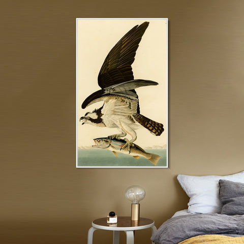 INVIN ART Framed Canvas Giclee Print Fish Hawk or Osprey by John James Audubon Wall Art Living Room Home Office Decorations