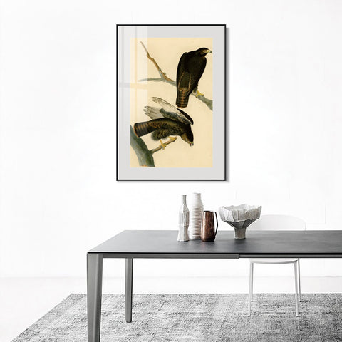 INVIN ART Metal Framed Canvas Giclee Print Black Warrior by John James Audubon Wall Art Living Room Home Office Decorations