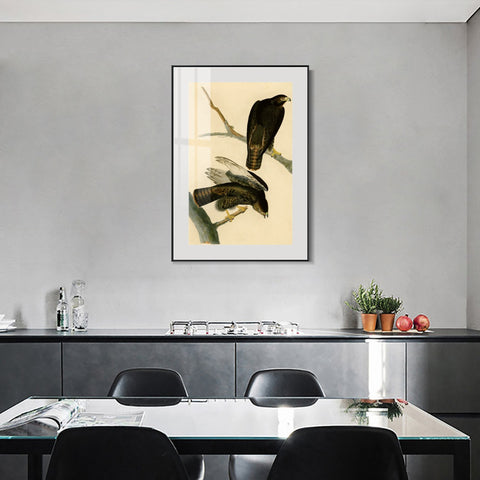 INVIN ART Metal Framed Canvas Giclee Print Black Warrior by John James Audubon Wall Art Living Room Home Office Decorations
