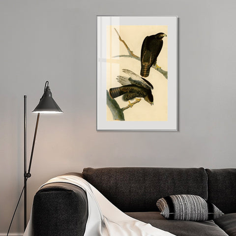 INVIN ART Metal Framed Canvas Giclee Print Black Warrior by John James Audubon Wall Art Living Room Home Office Decorations