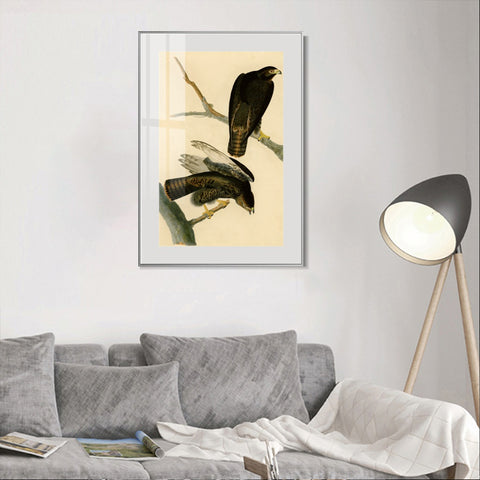 INVIN ART Metal Framed Canvas Giclee Print Black Warrior by John James Audubon Wall Art Living Room Home Office Decorations