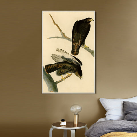 INVIN ART Framed Canvas Giclee Print Black Warrior by John James Audubon Wall Art Living Room Home Office Decorations