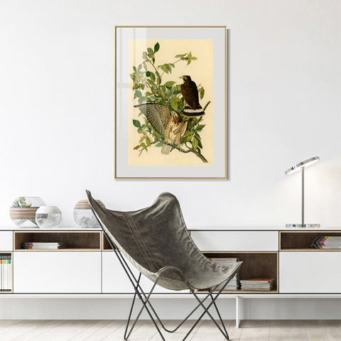 INVIN ART Metal Framed Canvas Giclee Print Broad winged Hawk by John James Audubon Wall Art Living Room Home Office Decorations