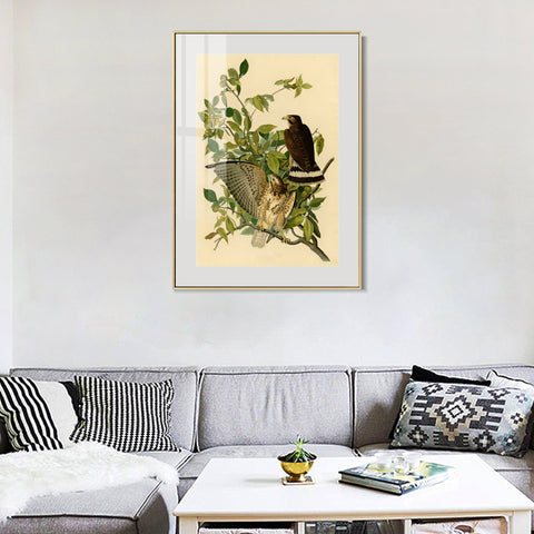 INVIN ART Metal Framed Canvas Giclee Print Broad winged Hawk by John James Audubon Wall Art Living Room Home Office Decorations