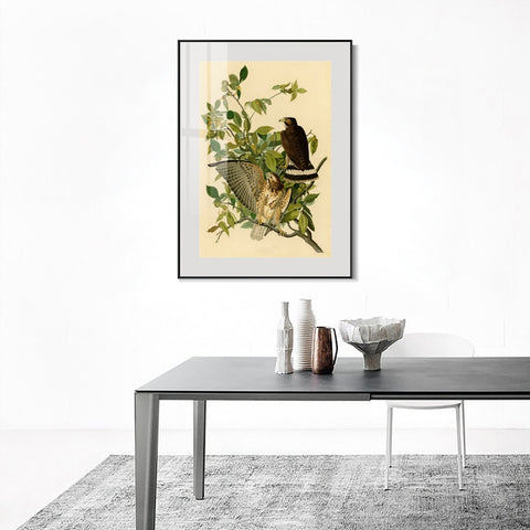INVIN ART Metal Framed Canvas Giclee Print Broad winged Hawk by John James Audubon Wall Art Living Room Home Office Decorations