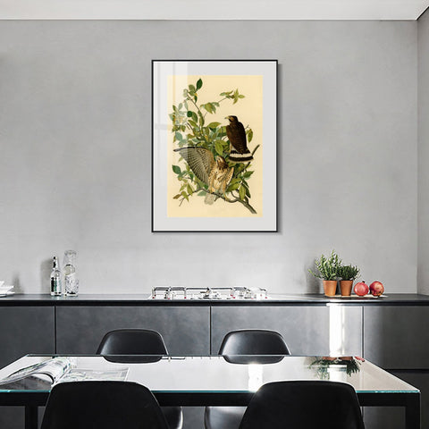 INVIN ART Metal Framed Canvas Giclee Print Broad winged Hawk by John James Audubon Wall Art Living Room Home Office Decorations