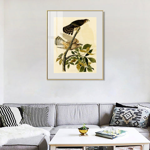 INVIN ART Metal Framed Canvas Giclee Print Pigeon Hawk by John James Audubon Wall Art Living Room Home Office Decorations
