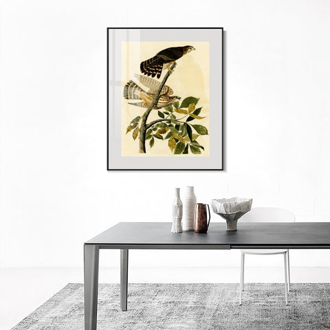 INVIN ART Metal Framed Canvas Giclee Print Pigeon Hawk by John James Audubon Wall Art Living Room Home Office Decorations