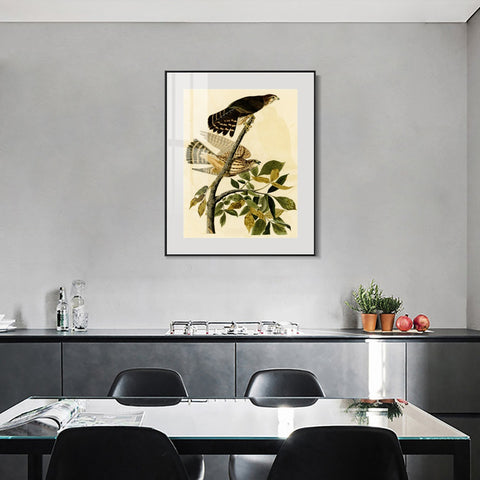 INVIN ART Metal Framed Canvas Giclee Print Pigeon Hawk by John James Audubon Wall Art Living Room Home Office Decorations