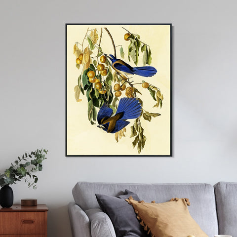 INVIN ART Framed Canvas Giclee Print Florida Jay by John James Audubon Wall Art Living Room Home Office Decorations