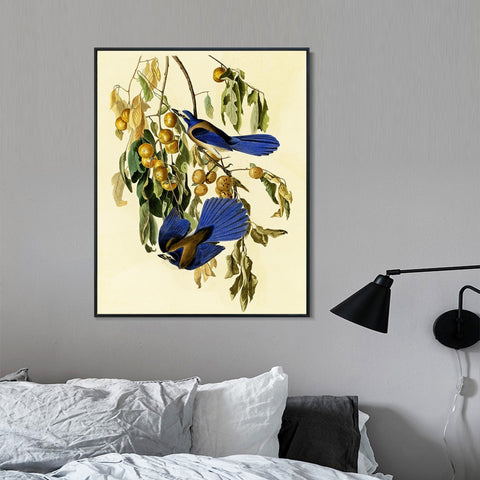 INVIN ART Framed Canvas Giclee Print Florida Jay by John James Audubon Wall Art Living Room Home Office Decorations