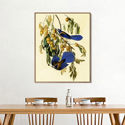 INVIN ART Framed Canvas Giclee Print Florida Jay by John James Audubon Wall Art Living Room Home Office Decorations