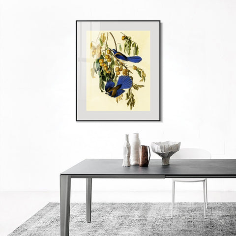 INVIN ART Metal Framed Canvas Giclee Print Florida Jay by John James Audubon Wall Art Living Room Home Office Decorations