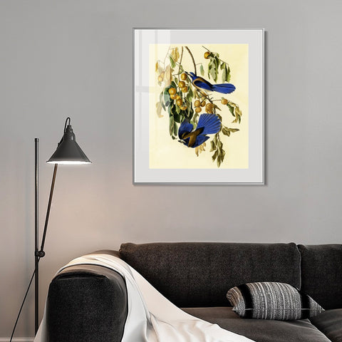 INVIN ART Metal Framed Canvas Giclee Print Florida Jay by John James Audubon Wall Art Living Room Home Office Decorations