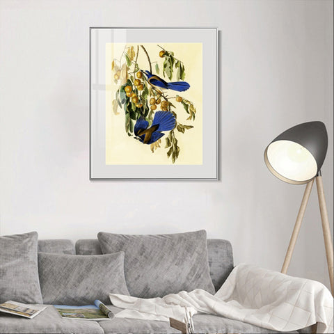 INVIN ART Metal Framed Canvas Giclee Print Florida Jay by John James Audubon Wall Art Living Room Home Office Decorations