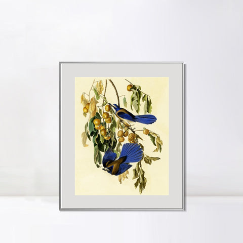 INVIN ART Metal Framed Canvas Giclee Print Florida Jay by John James Audubon Wall Art Living Room Home Office Decorations
