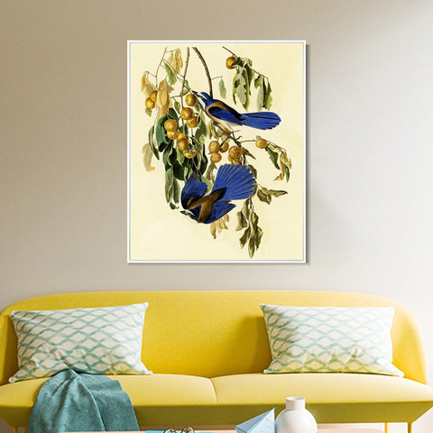 INVIN ART Framed Canvas Giclee Print Florida Jay by John James Audubon Wall Art Living Room Home Office Decorations
