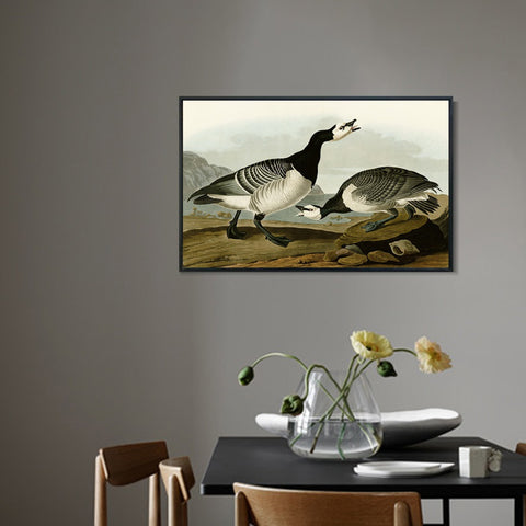 INVIN ART Framed Canvas Giclee Print Barnacle Goose by John James Audubon Wall Art Living Room Home Office Decorations
