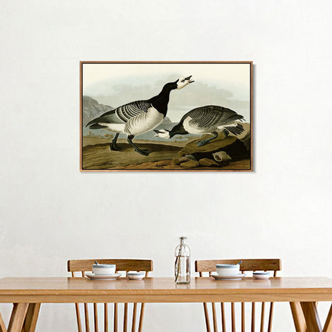 INVIN ART Framed Canvas Giclee Print Barnacle Goose by John James Audubon Wall Art Living Room Home Office Decorations
