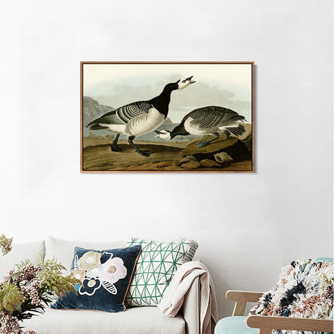 INVIN ART Framed Canvas Giclee Print Barnacle Goose by John James Audubon Wall Art Living Room Home Office Decorations