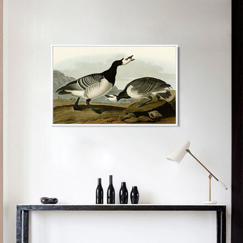 INVIN ART Framed Canvas Giclee Print Barnacle Goose by John James Audubon Wall Art Living Room Home Office Decorations