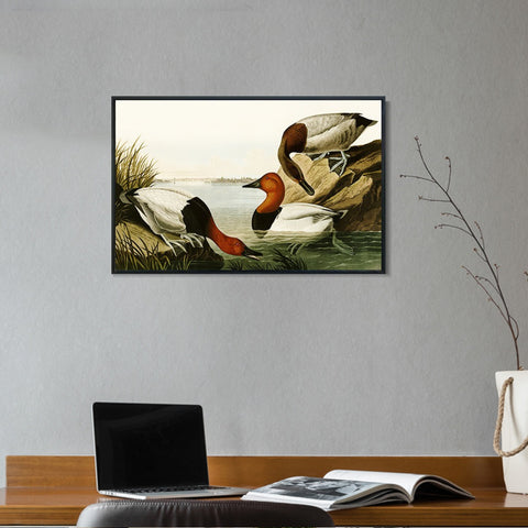 INVIN ART Framed Canvas Giclee Print backed Duck by John James Audubon Wall Art Living Room Home Office Decorations