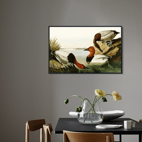 INVIN ART Framed Canvas Giclee Print backed Duck by John James Audubon Wall Art Living Room Home Office Decorations