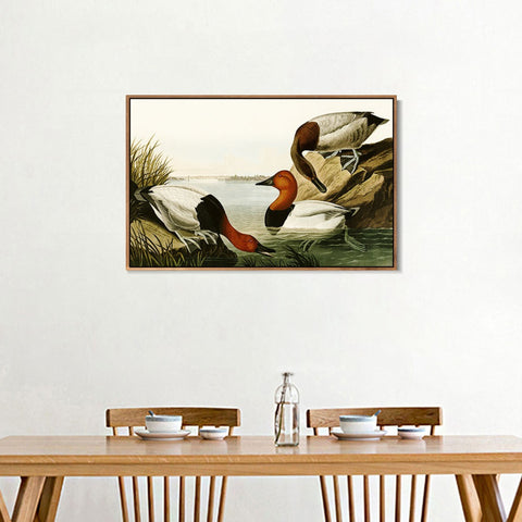 INVIN ART Framed Canvas Giclee Print backed Duck by John James Audubon Wall Art Living Room Home Office Decorations