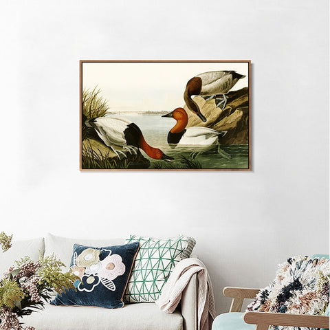 INVIN ART Framed Canvas Giclee Print backed Duck by John James Audubon Wall Art Living Room Home Office Decorations